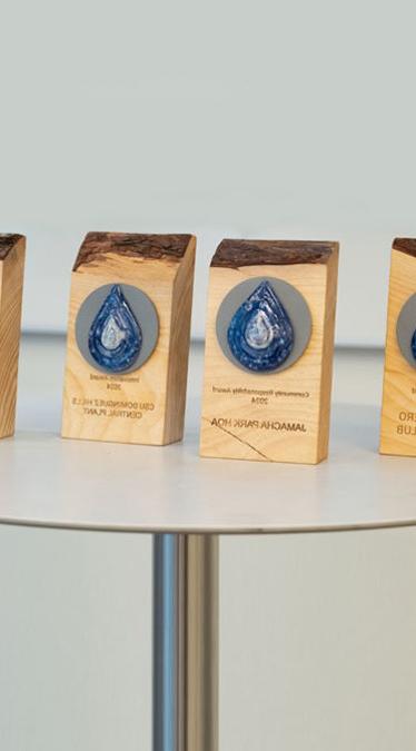 Photo of One 水 Awards on a table.